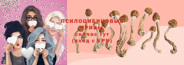 герыч Осташков