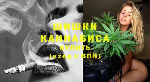 ПСИЛОЦИБИНОВЫЕ ГРИБЫ Болотное