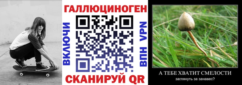 магазин    Нолинск  Галлюциногенные грибы MAGIC MUSHROOMS 